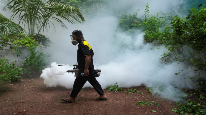 Şri-Lanka son onilliyin ən ağır denq epidemiyası ilə mübarizə aparır