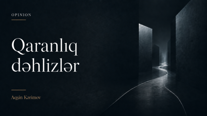 TRIPP və Rusiyanın daralan logistika məkanı