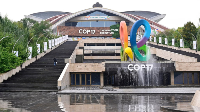 COP17: Dünya 2030-cu il bioloji müxtəliflik hədəflərinə çata biləcəkmi?